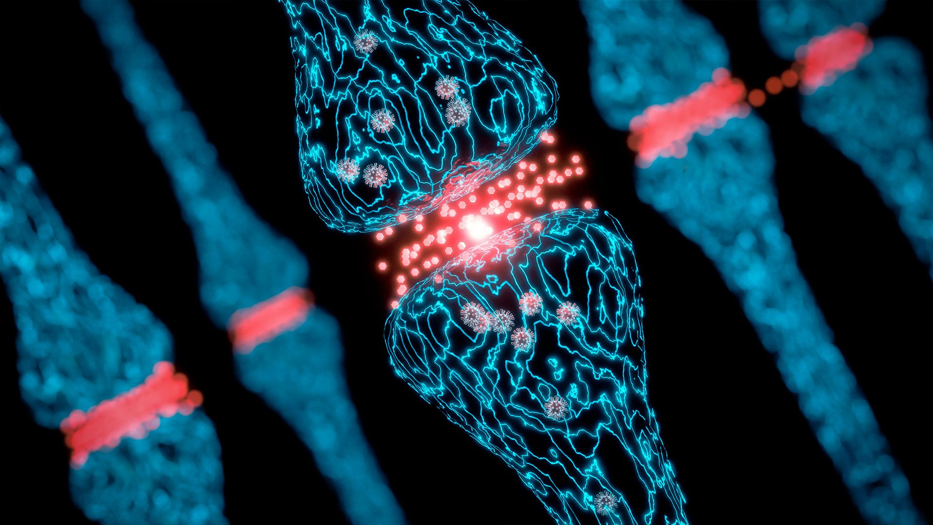 Lauxera Capital Partners – Press release – Final closing