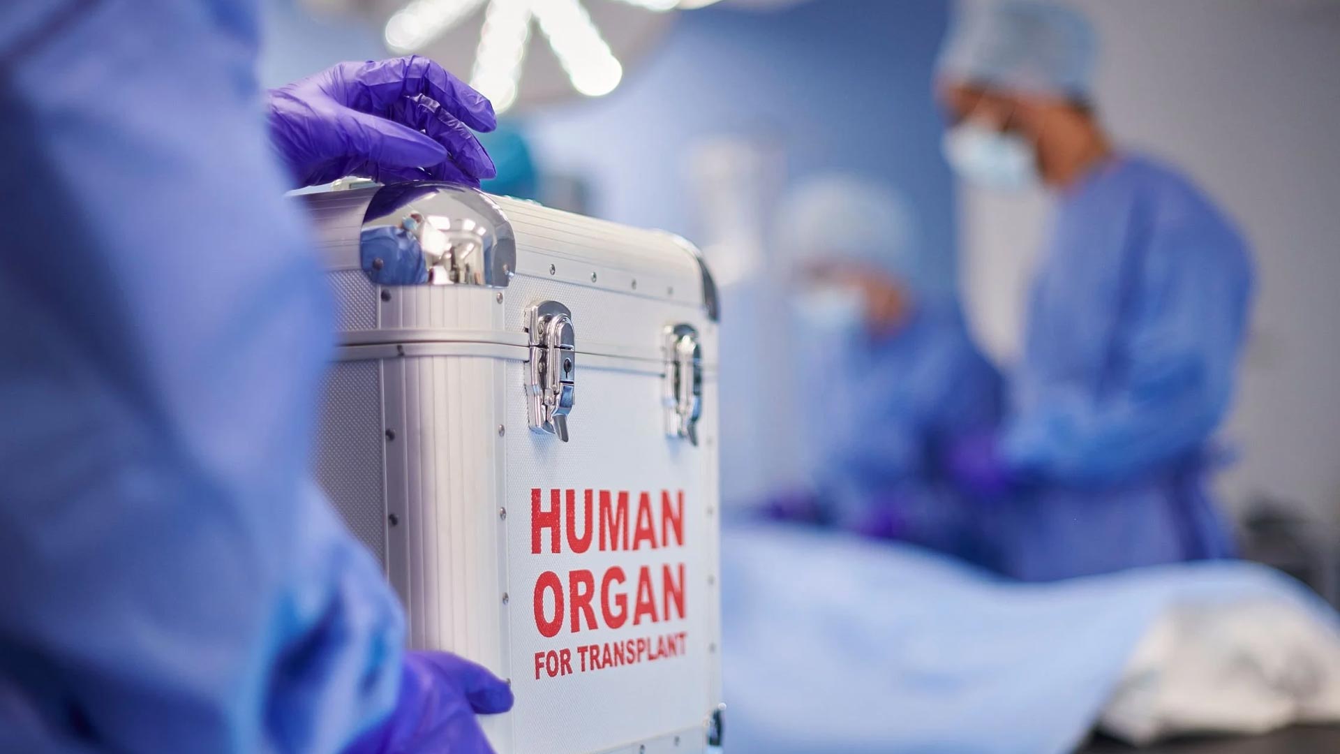 La cession d’Organox à un industriel offre une première sortie éclatante à Lauxera Capital