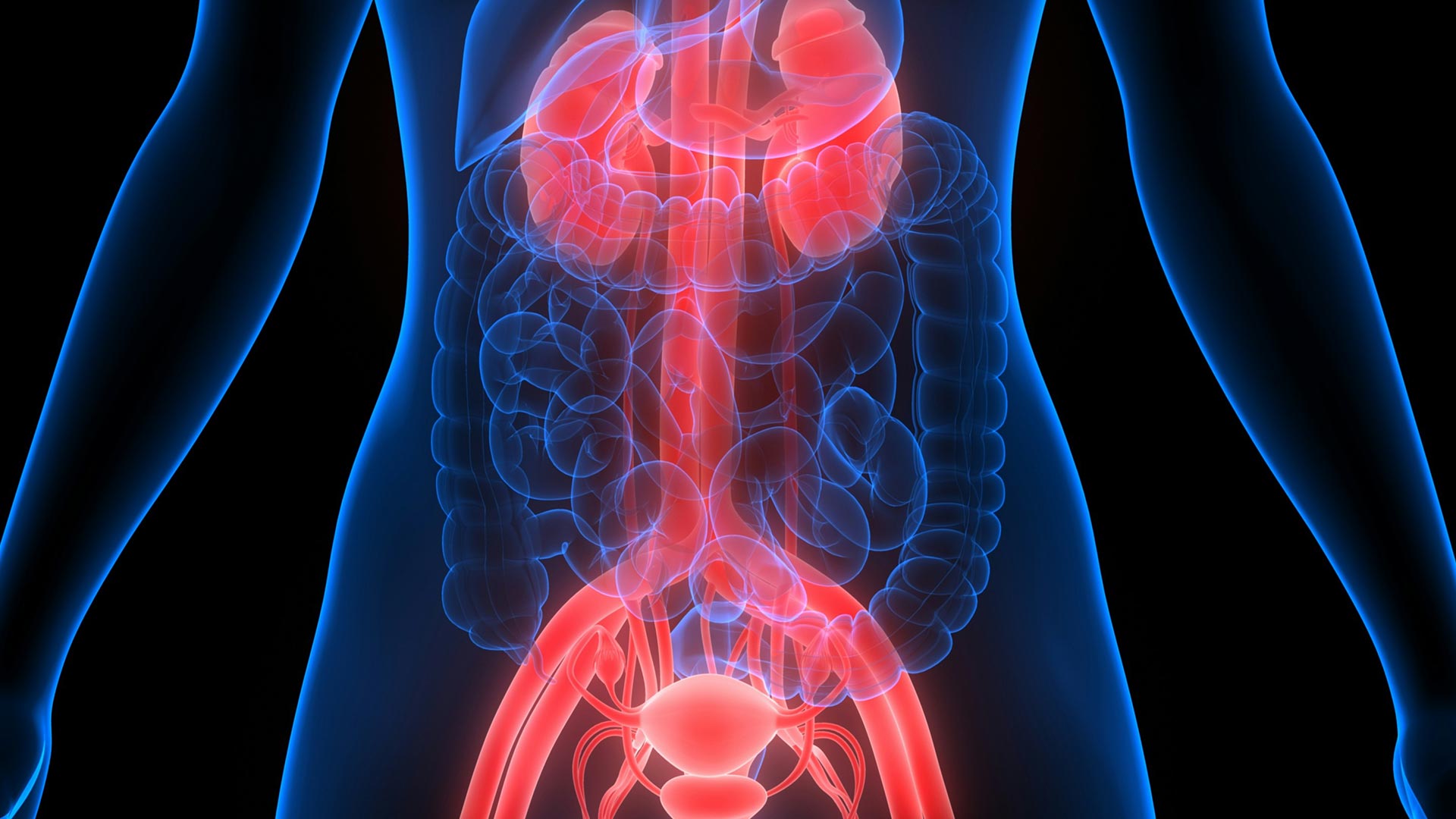 Terumo Buying Organ Tech Provider OrganOx for$1.5 Billion